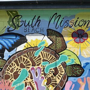 South Mission Beach Toilets
