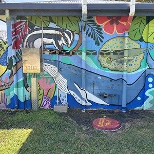 South Mission Beach Toilets