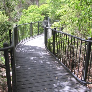 Tree level walkway to falls view