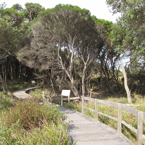 Boardwalk section of Nature Trail