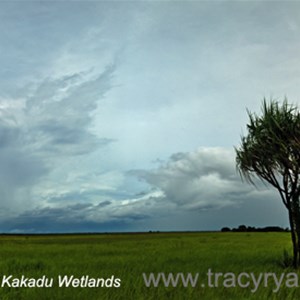 Kakadu Wetlands, Kakadu National Park