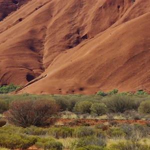 Uluru - Kata Tjuta National Park