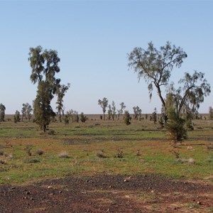 Mac Clark (Acacia Peuce) Conservation Reserve