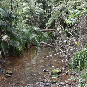 Mowbray State Forest