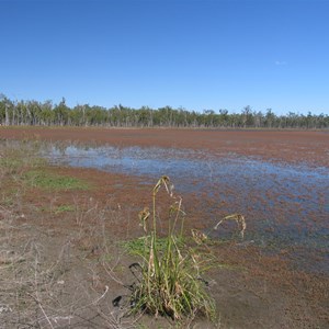Lake edge mudflats