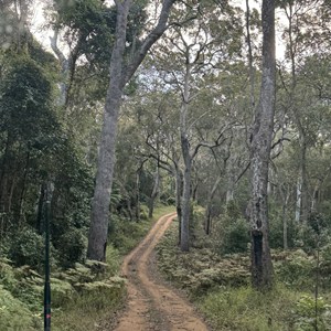 Kroombit Tops National Park