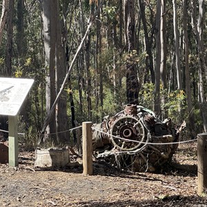 Kroombit Tops National Park