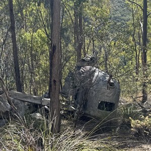 Kroombit Tops National Park