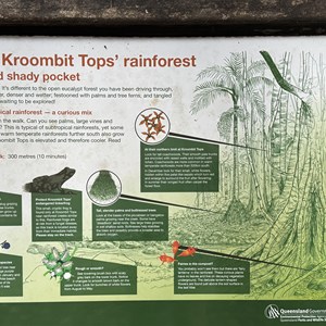 Kroombit Tops National Park