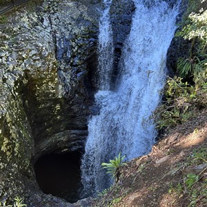 Springbrook National Park