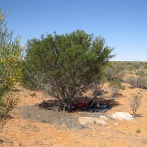 Use available shade #2