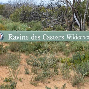 Ravine Des Casoars Wilderness Area