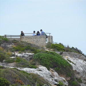 Seal Bay Conservation Park