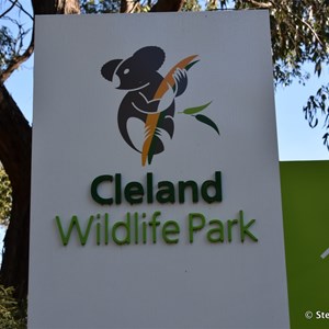 Cleland Conservation Park 