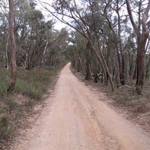 Access road to Wenhams camp