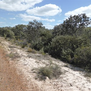 Moore River National Park 