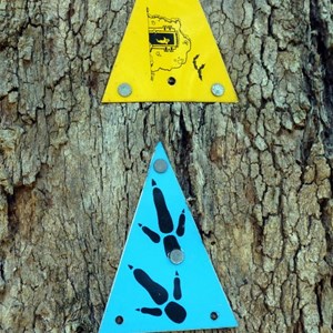 Walk trail signs.