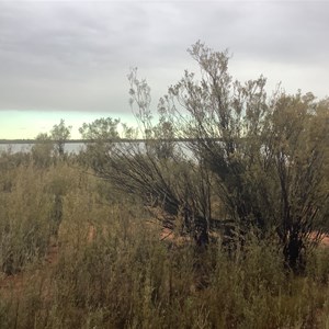 Rowles Lagoon Conservation Park