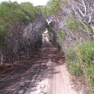 Hammersley Beach track