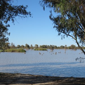 Possible boat ramp at Main Weir