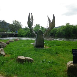 The cray with movable claws