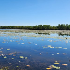 Lomarieum Lagoon