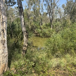 Wirriyamurrya Waterhole