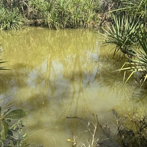 Wirriyamurrya Waterhole