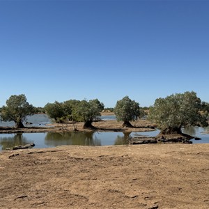 Alexandra River