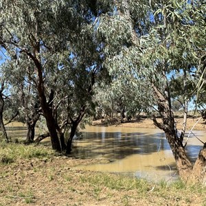Gallows Waterhole