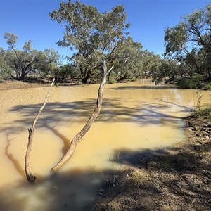 Gallows Waterhole