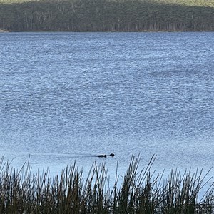 Curries River Reservoir