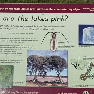Lake Kenyon