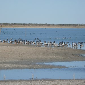 Lake Gregory - 2008