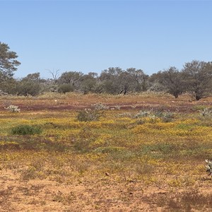 Marloo Swamp