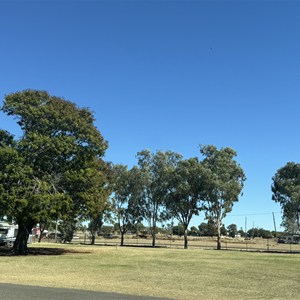 Barcaldine Showground Caravan Park