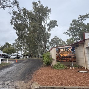 Cobb & Co Caravan Park Charleville