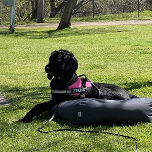 Fossickers Tourist Park Nundle