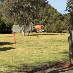 Rankins Springs Caravan Park