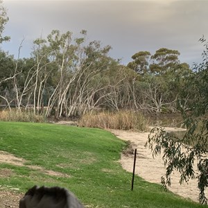 Urana Caravan Park