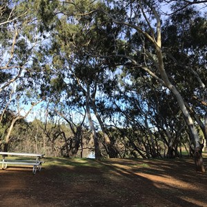 Urana Caravan Park