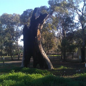 The other side of the black stump