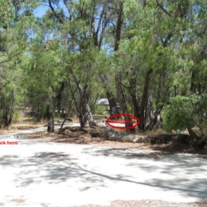 Martins Tank Campground - Individual 'family tent' site