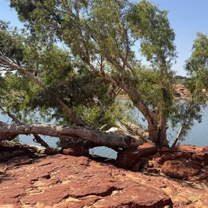 Rocky Pool
