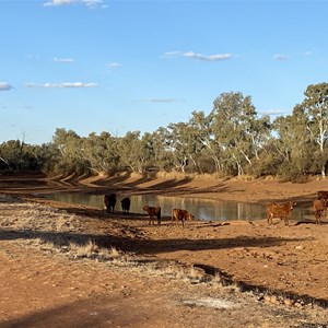 Bilyuin Pool (South Side)
