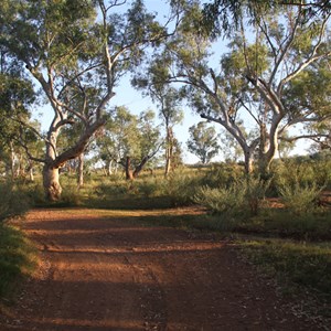 Campground at De Grey River Overnight