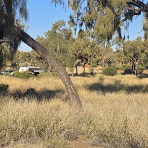 Desert Oaks Rest Area (24Hr)