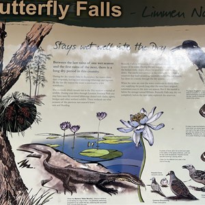 Butterfly Falls