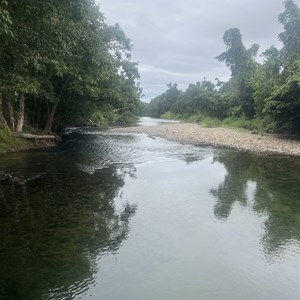 Upper Liverpool Creek