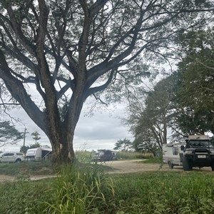 Upper Liverpool Creek